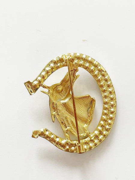 Brooch BCHCharros01